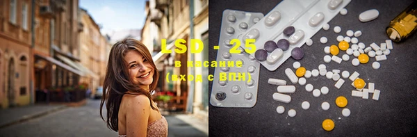 амф Козельск