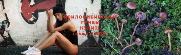 амф Козельск